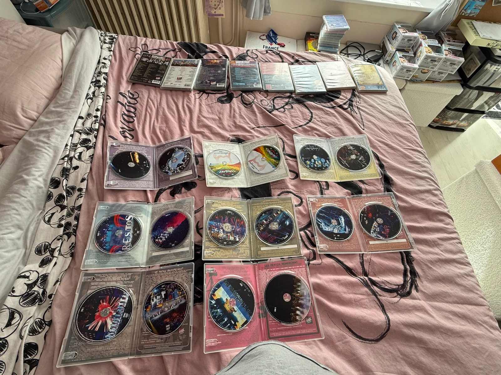 Lot DVD les enfoires de 2001 à 2026 + les 30 ans des enfoires – photo 9